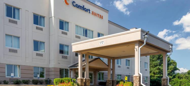 罗利核桃溪舒适套房酒店(Comfort Suites Raleigh Walnut Creek)图片