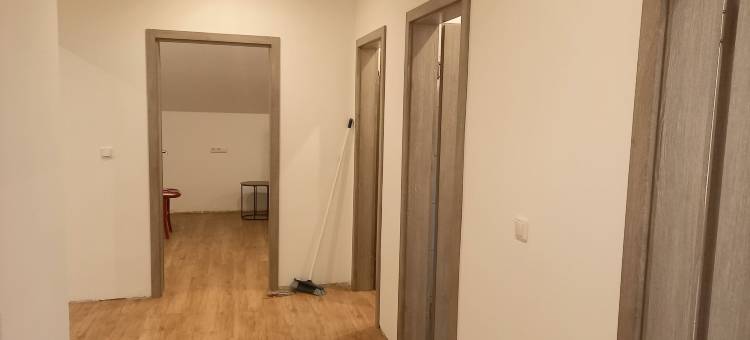 阿列古斯塔(Alie Gusta)图片