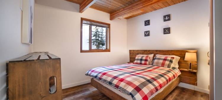 阿佩克斯山/梁柱式木屋 热水浴池 可住10人(Post & Beam Chalet at Apex Mountain/Hot Tub sleeps 10)图片