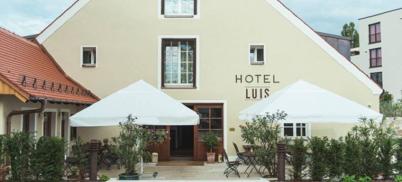 刘易斯施塔德尔酒店(Hotel Luis Stadl)图片