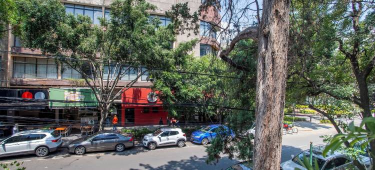 波兰科中心明亮甜美单元(Bright & sweet unit in middle Polanco)图片