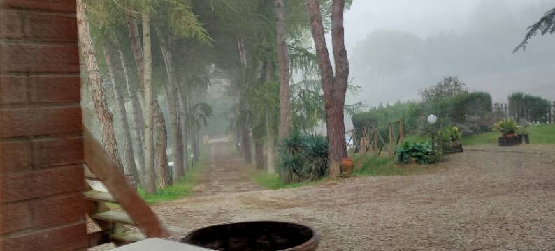 安缇可博德尔布诺洛旅馆(Antico Podere Il Bugnolo)图片