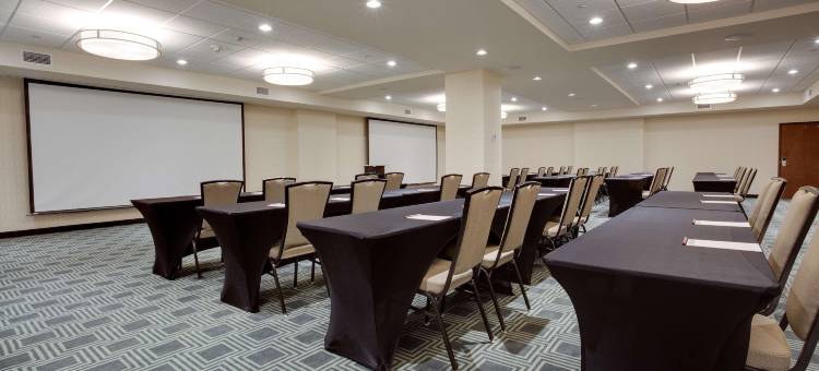 匹兹堡市中心德鲁里广场酒店(Drury Plaza Hotel Pittsburgh Downtown)图片