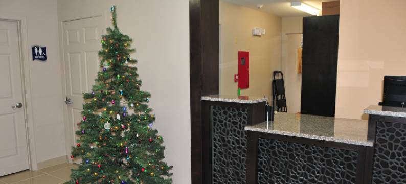 天堂套房酒店(Paradise Inn & Suites)图片