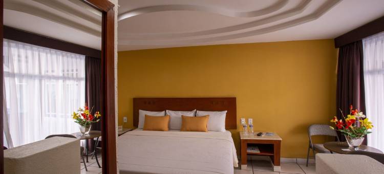 阿科斯机场酒店(Hotel Arcos Aeropuerto)图片