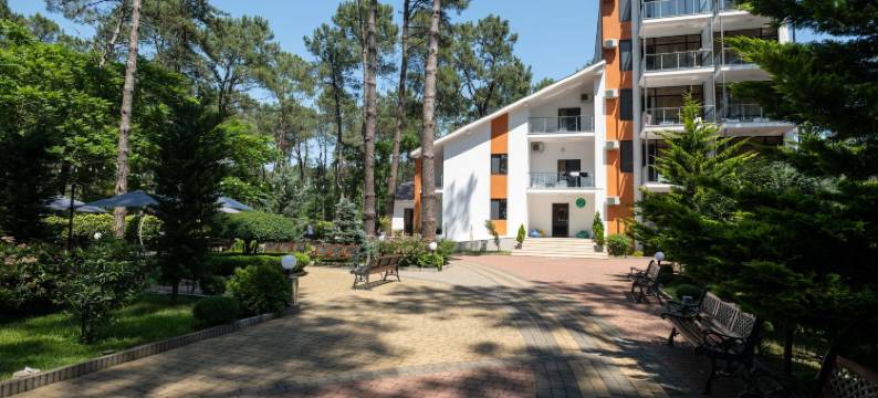 谢科维蒂利布克斯酒店(Buxus Hotel Shekvetili)图片