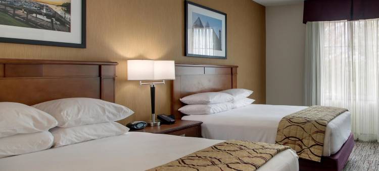 夏洛特-诺斯莱克德鲁里套房酒店(Drury Inn & Suites Charlotte Northlake)图片