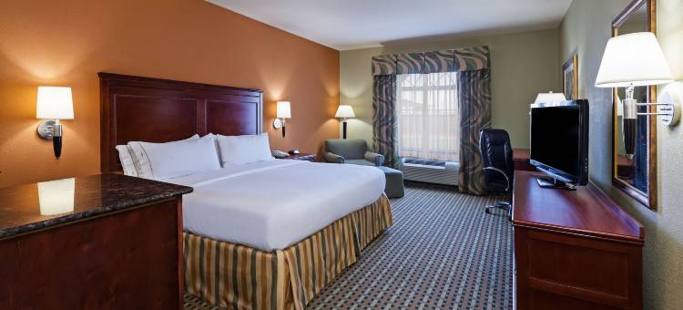 智选假日套房酒店阿马里洛东 by IHG(Holiday Inn Express & Suites Amarillo East)图片