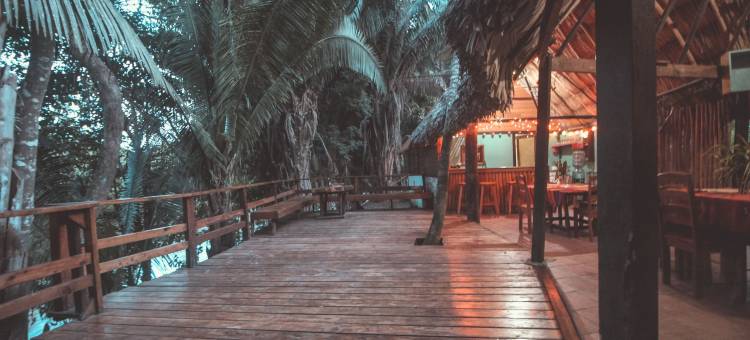 羽叶棕榈河畔小屋酒店(Cohune Palms River Cabanas)图片
