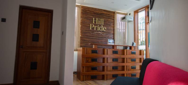 希尔普赖德城市酒店(Hill Pride City Hotel)图片