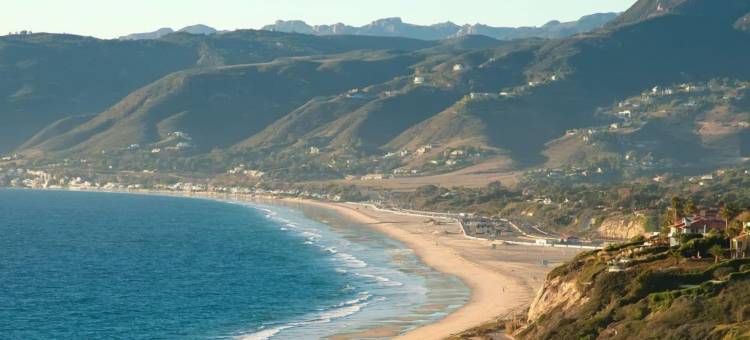 棕榈树花园酒店(Palm Garden Hotel)图片