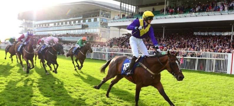 旅行者哥尔韦旅游宾馆(Travelodge Plus Galway)图片