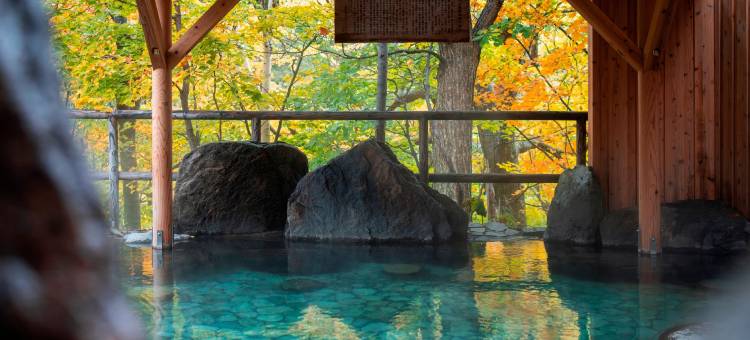 层云阁旅馆(Sounkaku)图片