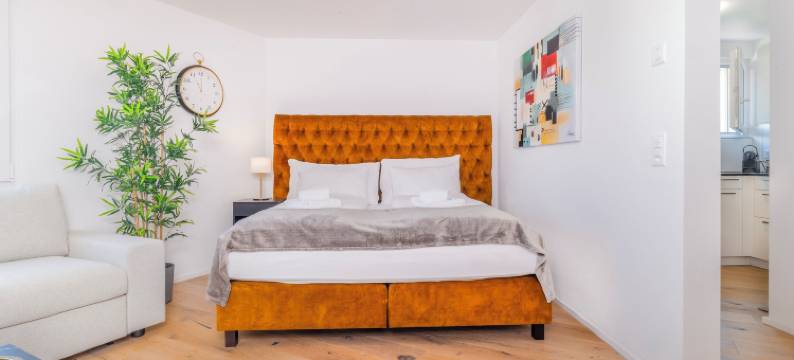 VISIMO 公寓 Teufenerstrasse 圣加仑 - 城市, 直接, 靠近自然(Visimo Apartments Teufenerstrasse St Gallen - Urban, Direct, Close to Nature)图片