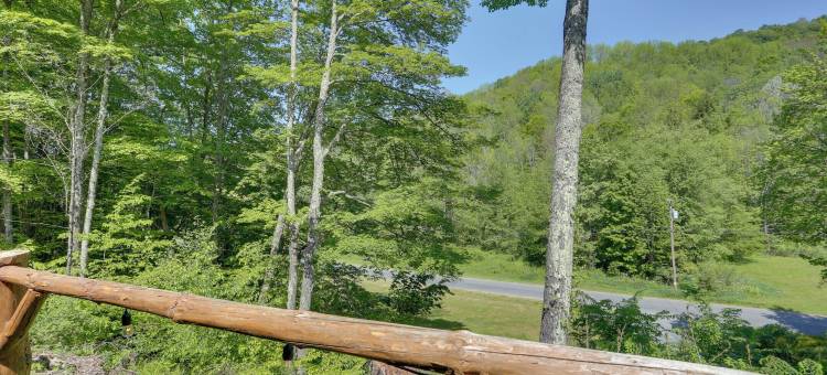 卡茨基尔山脉的私人小屋出租！(Private Cabin Rental in the Catskill Mountains!)图片