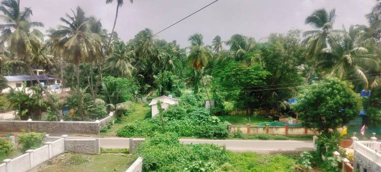 海壳度假村(Sea Shell Resort)图片