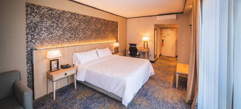 Holiday Inn 罗萨里奥(Holiday Inn ROSARIO by IHG)图片