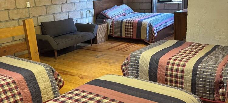 Cabin immersed in 1 hectare of forest. Maximum Internet power (Starlink)图片