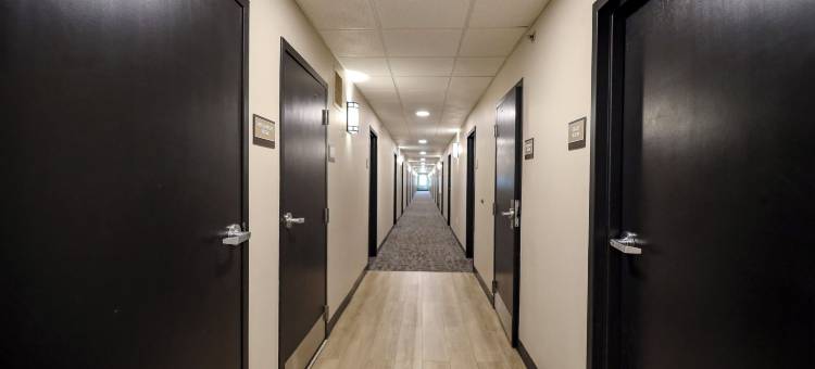 克里夫兰比奇伍德奥兰治广场南美洲长住套房酒店(Extended Stay America Suites - Cleveland - Beachwood - Orange Place - South)图片