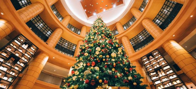 福冈基础酒店(The Basics Fukuoka)图片