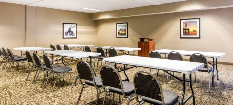 IAH布什机场-东舒适套房酒店(Comfort Inn & Suites IAH Bush Airport - East)图片