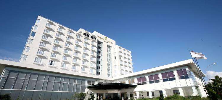 巨港半岛酒店(Sintesa Peninsula Hotel)图片