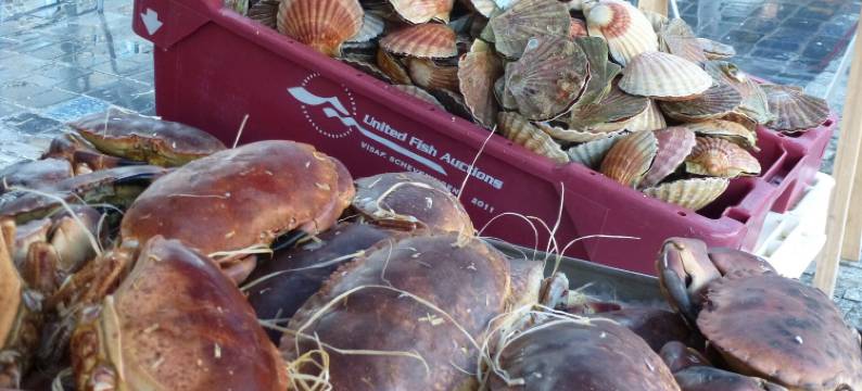 Stone House in Plurien near Sandy Beaches图片