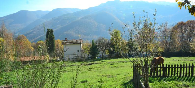 Tranquil Stone Chalet图片