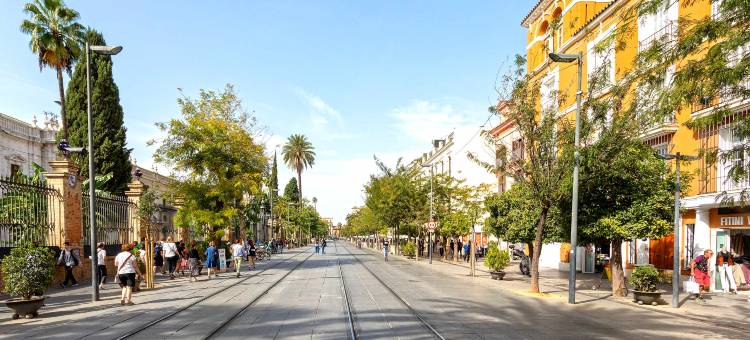 Spectacular 4BD apartment near Alcazar. San Fernando图片