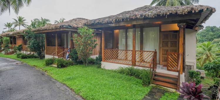 雨林度假村(Rainforest Resort)图片