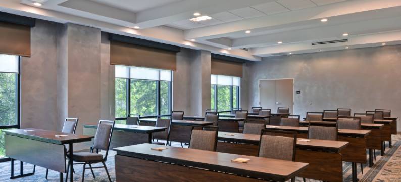 坦帕河景布兰登希尔顿欢朋套房酒店(Hampton Inn & Suites Tampa Riverview Brandon)图片