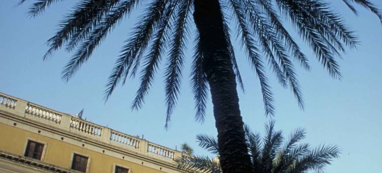 宜必思巴塞罗那莫林斯-德尔雷伊酒店(Ibis Barcelona Molins de Rei)图片