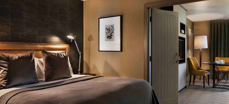 圣莫里茨皇后镇酒店 - 美憬阁系列(Hotel St Moritz Queenstown - MGallery Collection)图片