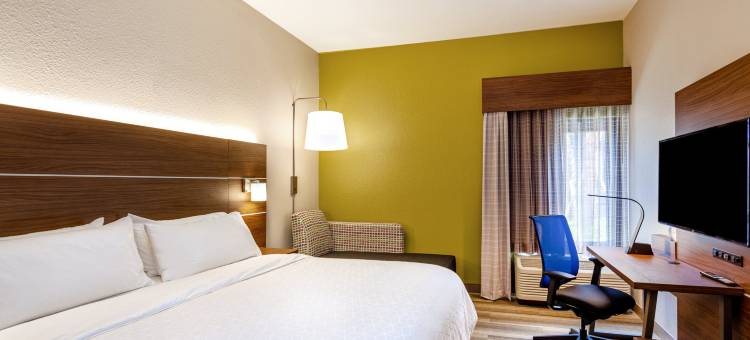 Holiday Inn Express 坦帕布兰登(Holiday Inn Express Tampa-Brandon)图片