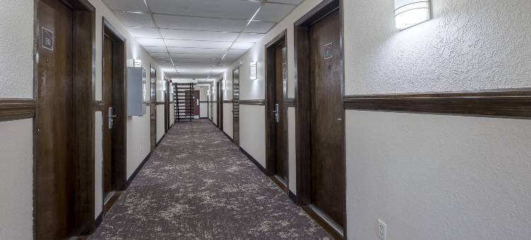 德顿红顶旅馆-胡伯高地(Red Roof Inn Dayton - Huber Heights)图片