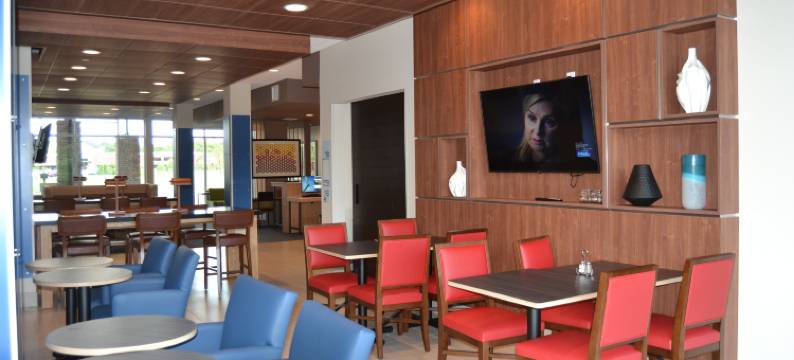 洲际智选假日套房酒店古德利茨维尔北-纳什维尔(Holiday Inn Express & Suites GOODLETTSVILLE N - NASHVILLE by IHG)图片