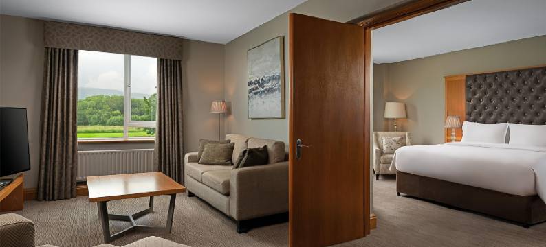 丽笙蓝标酒店及水疗-利默里克(Radisson Blu Hotel and Spa, Limerick)图片