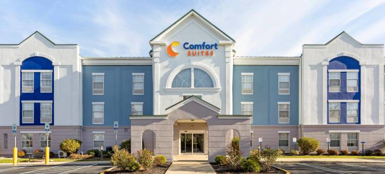 东布朗士维克南河舒适套房酒店(Comfort Suites East Brunswick - South River)图片