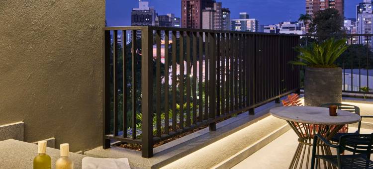 贝洛奥里藏特雅高TRIBE酒店(Tribe Belo Horizonte Savassi)图片