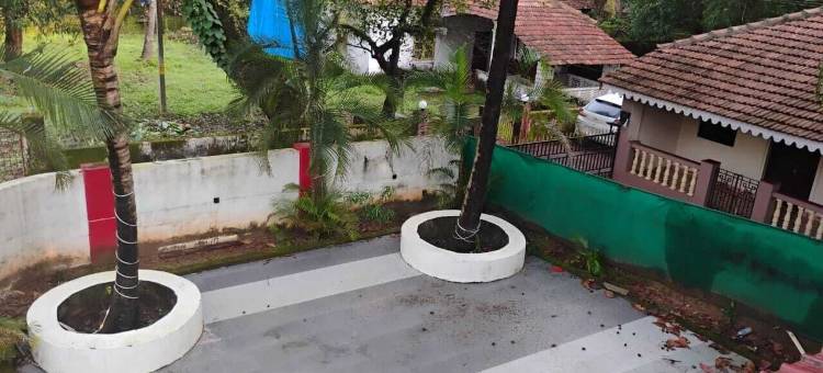 低语棕榈帕拉(Whispering Palm Parra)图片