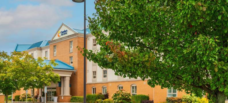 的舒适酒店和套房(Comfort Inn & Suites)图片