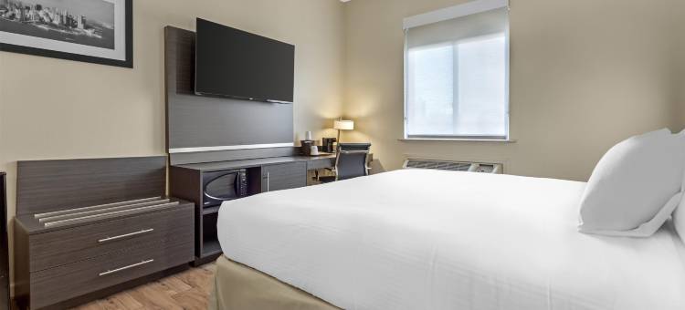 牙买加贝斯特韦斯特酒店(Best Western Jamaica Inn)图片