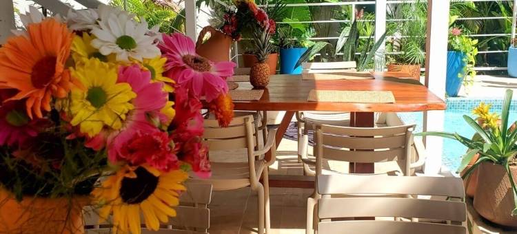 普埃尔托维耶霍圣所(Sanctuary PuertoViejo)图片