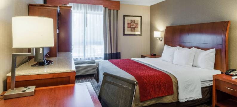 舒适套房酒店(Comfort Inn & Suites)图片