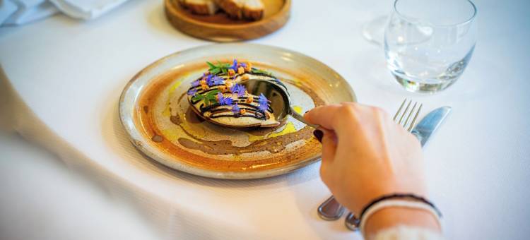 国际之家白马与克洛维酒店(Logis Hôtels & Restaurant le Cheval Blanc et Clovis)图片