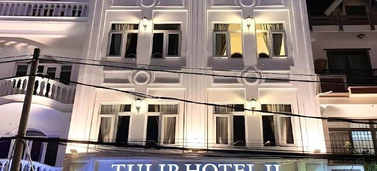 郁金香2号酒店(Tulip Hotel 2)图片