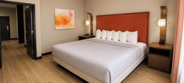 奥古斯塔拉昆塔温德姆套房酒店- 近艾森豪威尔堡(La Quinta Inn & Suites by Wyndham Augusta/Fort Eisenhower)图片