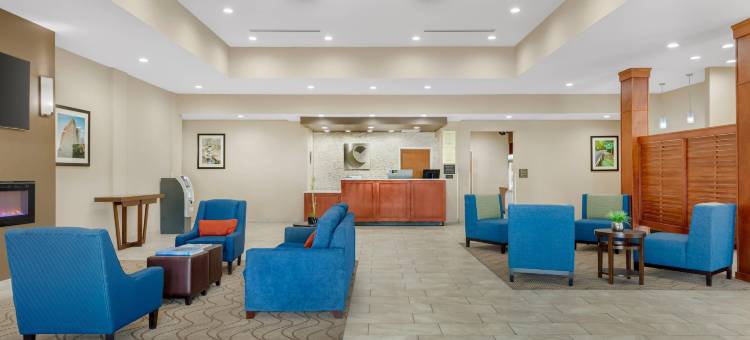 格林斯伯勒 - 高点舒适套房酒店(Comfort Suites Greensboro-High Point)图片