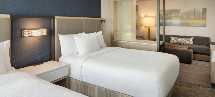 纽堡春山套房酒店(SpringHill Suites Newburgh Evansville)图片