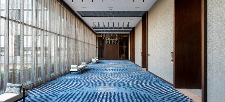 瓜达拉哈拉市中心希尔顿酒店(Hilton Guadalajara Midtown)图片